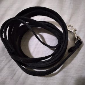 10ft dog training leash